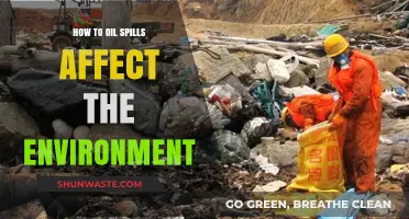 Devastating Impacts: How Oil Spills Destroy Ecosystems and Wildlife