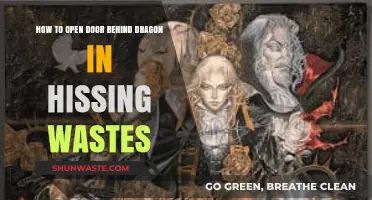 Unlocking Secrets: Accessing the Door Behind the Dragon in Hissing Wastes