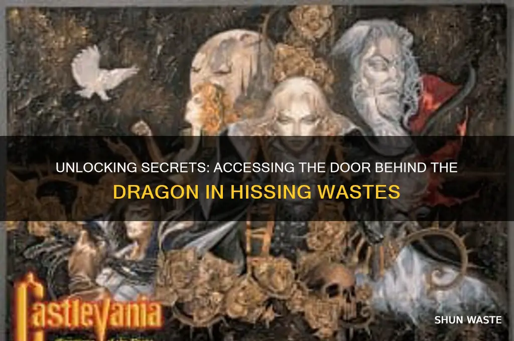 how to open door behind dragon in hissing wastes
