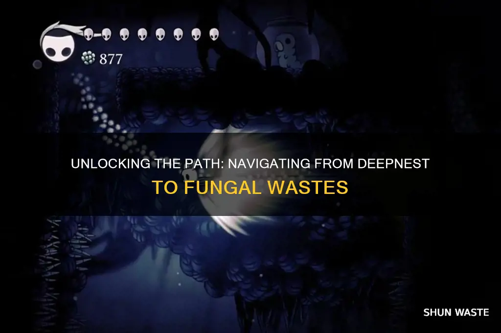 how to open door from deepnest to fungal wastes