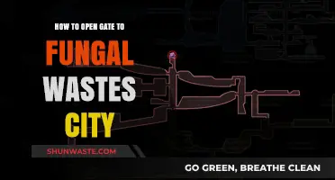 Unlocking the Fungal Wastes City: A Step-by-Step Gate Guide