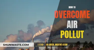 Air Pollution: Strategies for a Cleaner Tomorrow
