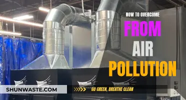 Strategies to Combat Air Pollution and Breathe Easy