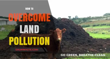 Strategies to Combat Land Pollution