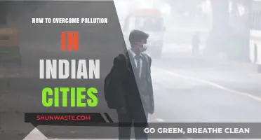 Battling Pollution: Strategies for Indian Cities