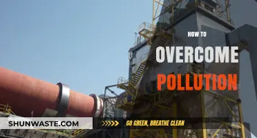 Fight Pollution: Strategies for a Cleaner World