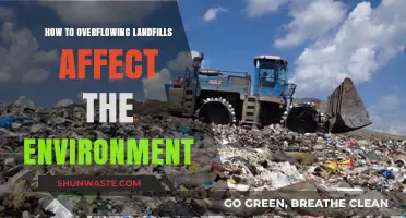Overflowing Landfills: Environmental Impacts and Sustainable Solutions Revealed