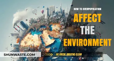 Overpopulation's Impact: Environmental Consequences and Sustainable Solutions Explored
