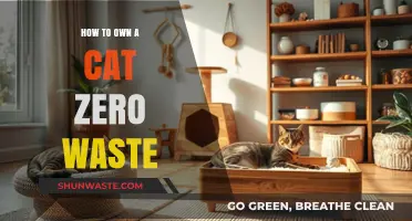 Eco-Friendly Feline Living: Owning a Cat with Zero Waste Tips