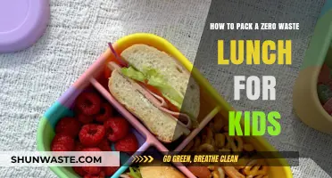 Eco-Friendly Lunch Packing: Zero Waste Tips for Kids' Meals