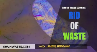 Efficient Waste Elimination in Paramecium: A Microscopic Survival Guide