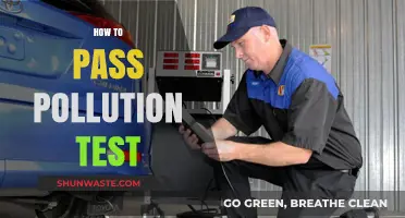 Pass the Pollution Test: Tips for Success