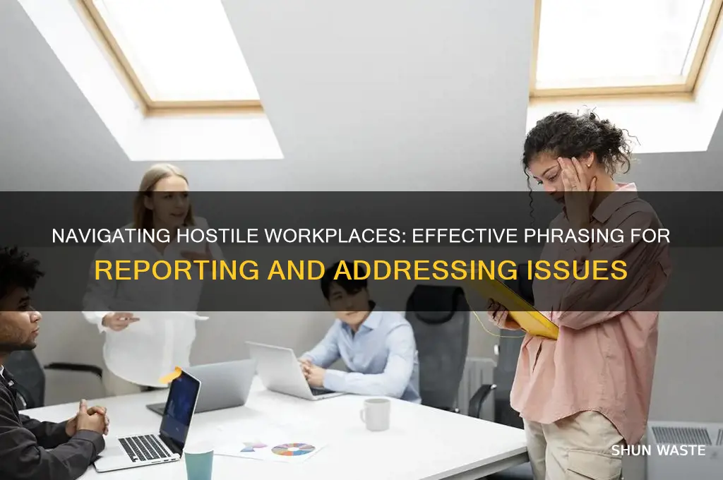 how to phrase hostile work environment