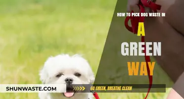 Eco-Friendly Dog Waste Pickup: Sustainable Tips for Responsible Pet Owners