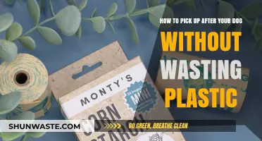 Eco-Friendly Poop Pickup: Sustainable Alternatives to Plastic Dog Bags