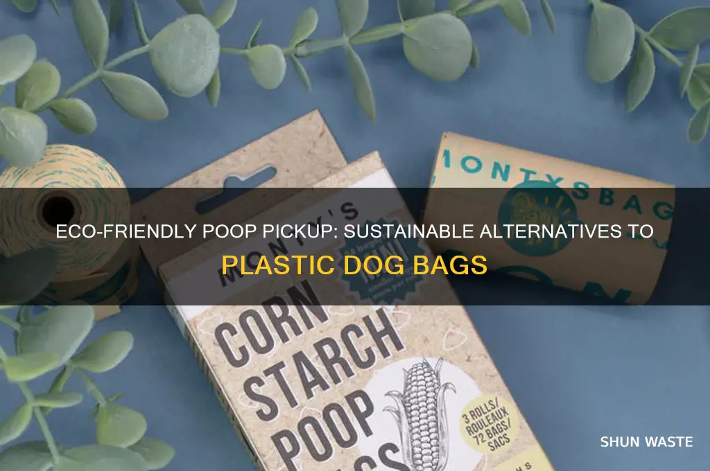 how to pick up after your dog without wasting plastic