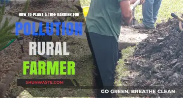 Planting Trees: A Rural Farmer's Guide to Pollution Barriers