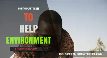 Planting Trees for a Greener Future: Simple Steps to Heal the Environment