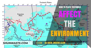 Plate Tectonics' Impact: Shaping Earth's Environment and Ecosystems