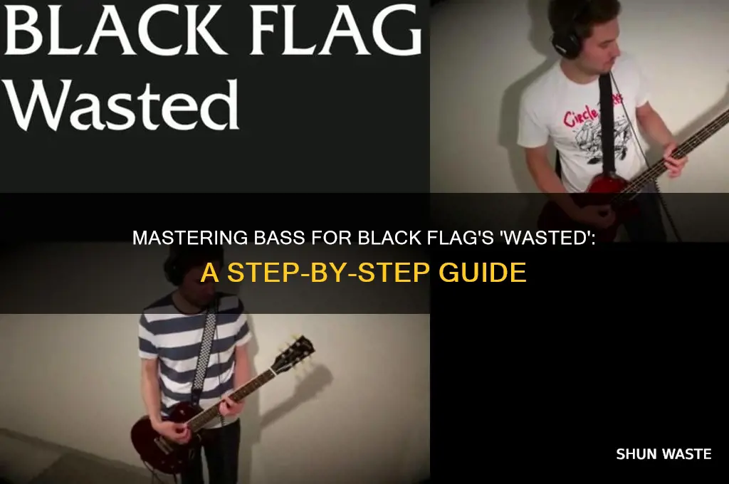 how to play bass to wasted by black flag