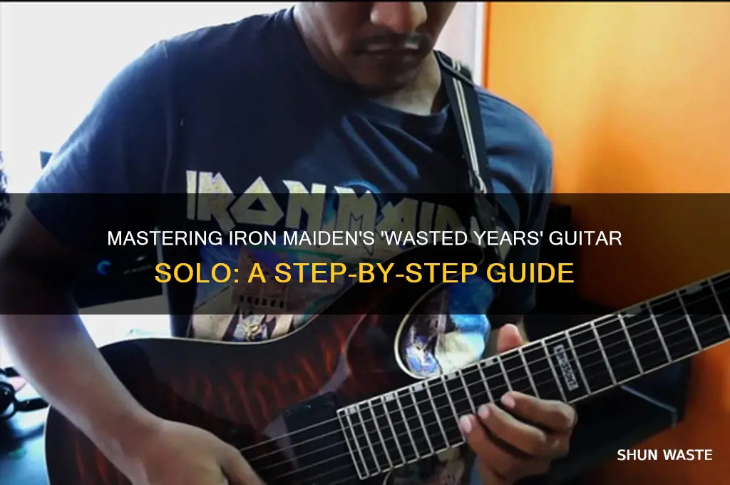 how to play guitar solo wasted years