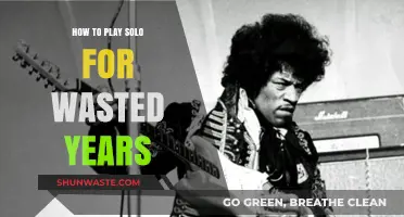 Mastering Solo Guitar: Playing 'Wasted Years' with Precision and Passion