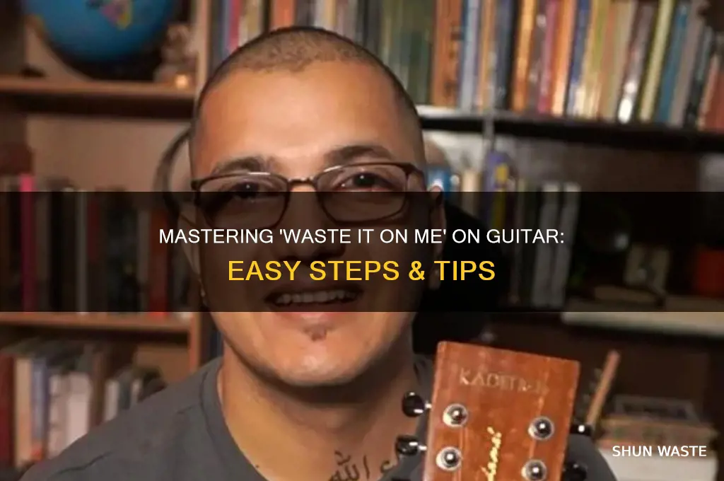 how to play waste it on me on guitar