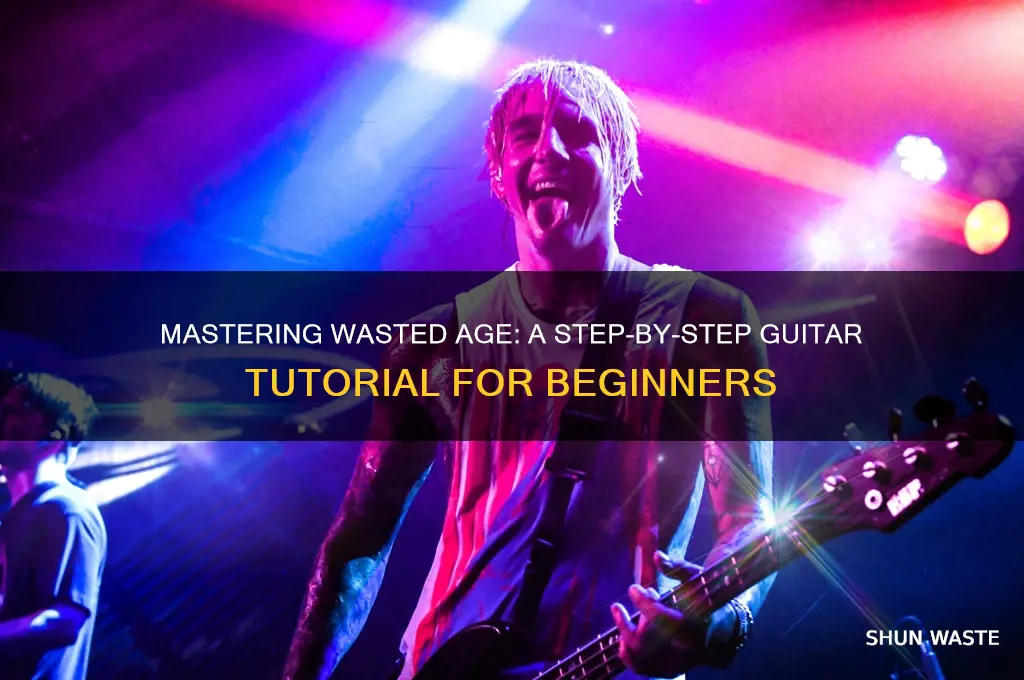 how to play wasted age on guitar