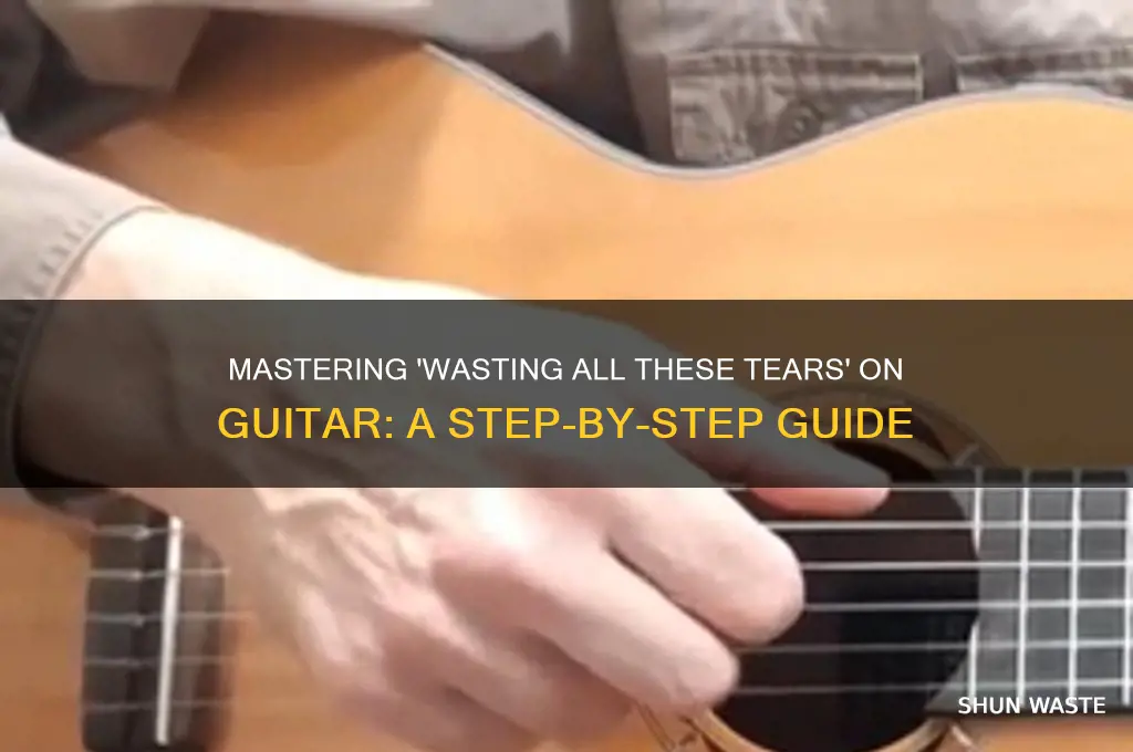 how to play wasting all these tears on guitar