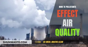 Air Quality Alert: Pollutants' Impact and Our Health