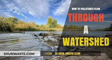 Understanding Pollutant Flow in Watersheds