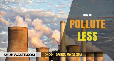 Live Green: Simple Steps to Reduce Pollution