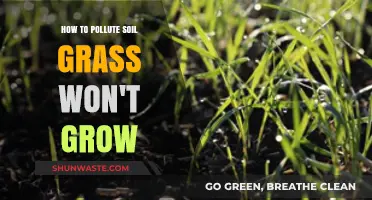 Destroying Soil: Grass Won't Grow on Polluted Land