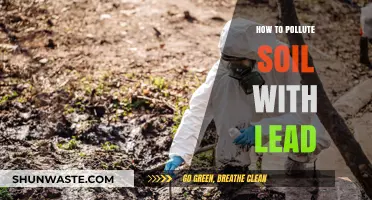 Soil Pollution: Lead Contamination and its Causes