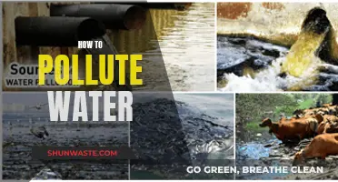 Pollution Secrets: Unveiling the Hidden Dangers of Contaminated Water