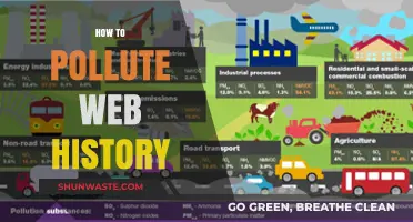 Web History: Pollute, Manipulate, and Profit