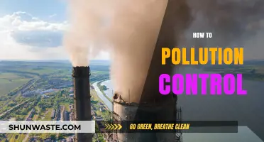 Controlling Pollution: Strategies for a Greener Tomorrow
