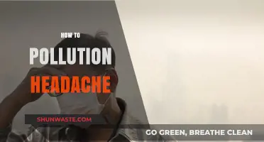 Preventing Pollution Headaches: A Guide to Natural Health