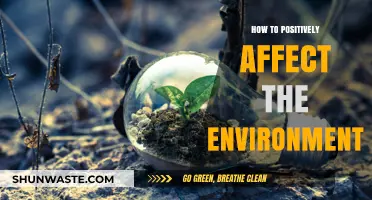 Sustainable Steps: Simple Actions for a Greener, Healthier Planet