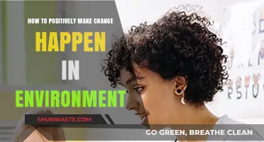 Empowering Eco-Action: Practical Steps to Drive Positive Environmental Change