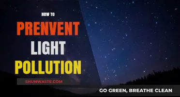 Protecting the Night Sky: Preventing Light Pollution