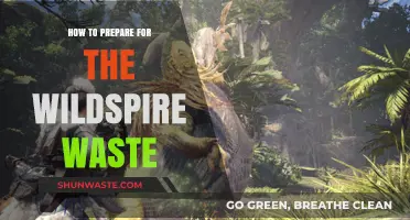Mastering Wildspire Waste: Essential Prep Tips for Monster Hunter Success