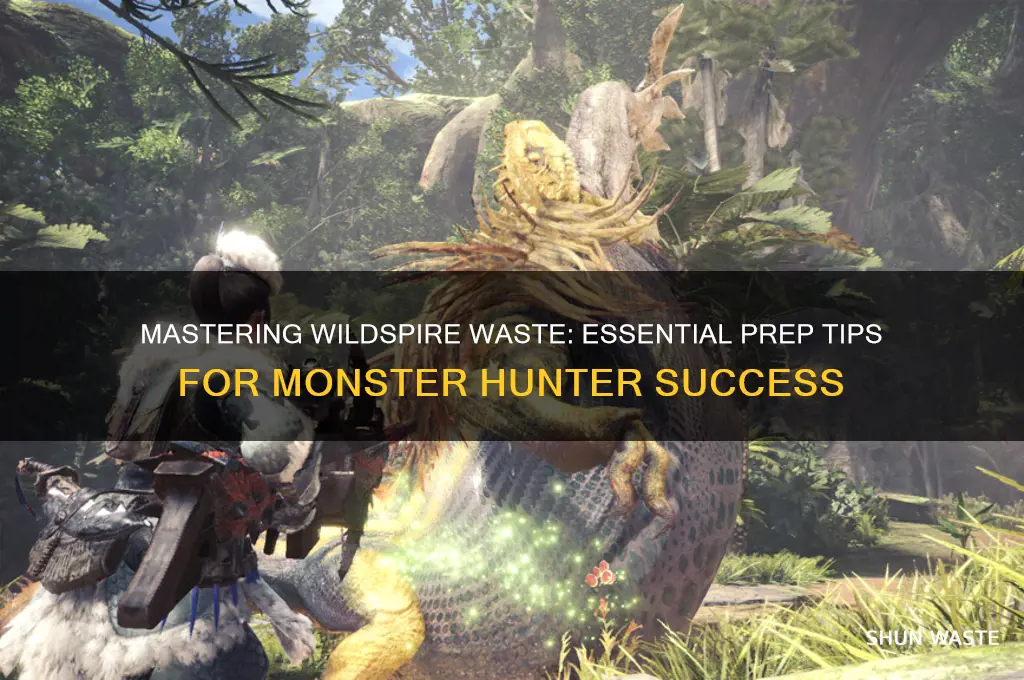 how to prepare for the wildspire waste