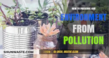 Protecting Our Environment: Preventing Pollution's Harmful Impact