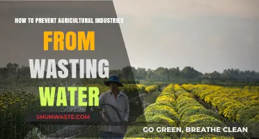 Sustainable Farming: Smart Strategies to Save Water in Agriculture