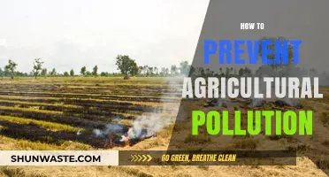 Agricultural Pollution: Strategies for Sustainable Farming
