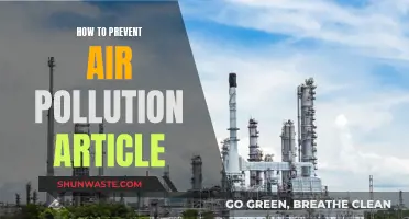 Air Pollution: Preventing the Preventable