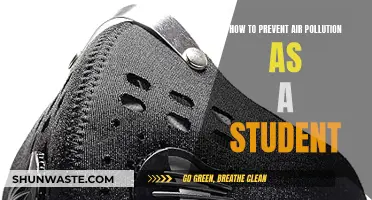 Students' Guide to Preventing Air Pollution: Small Steps, Big Impact