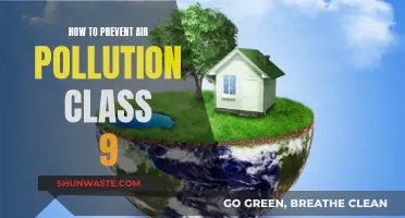 Preventing Air Pollution: Simple Steps for Students