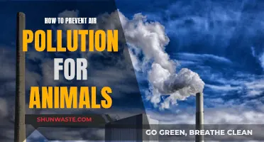 Protecting Animals: Reducing Air Pollution's Impact